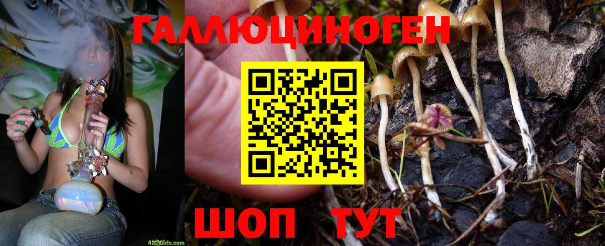 Галлюциногенные грибы Magic Shrooms  Псилоцибиновые грибы ЛСД  Дзержинский  Вход с VPN 
